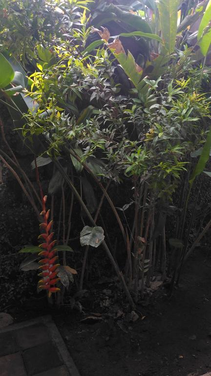 Santa Fe Homestay & Warong Amed Exteriör bild