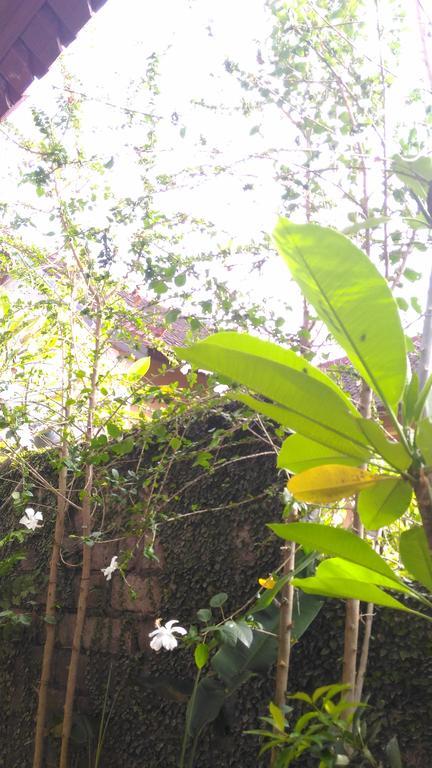 Santa Fe Homestay & Warong Amed Exteriör bild